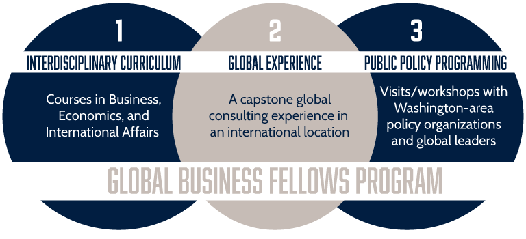 Global business fellows program info graphic